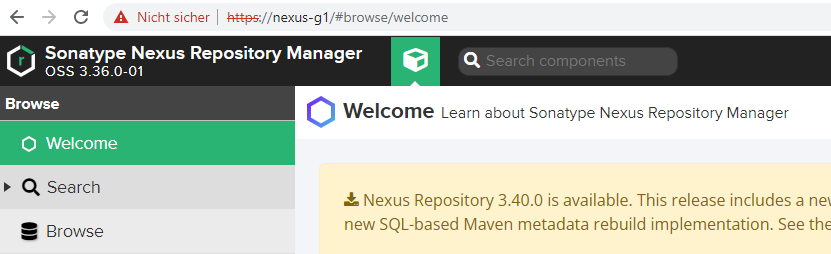 nexus-webseite.PNG