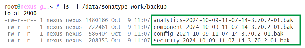 deep-dive_nexus_10_backup-files-in-container.png