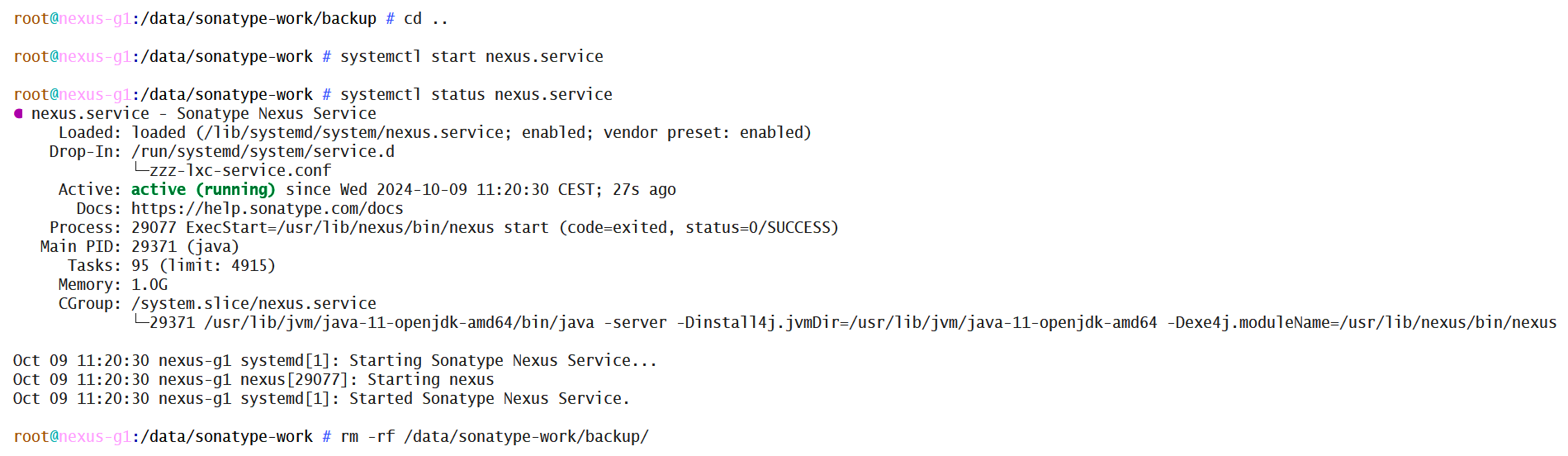 deep-dive_nexus_13_start-nexus-service-and-remove-backup-on-success.png